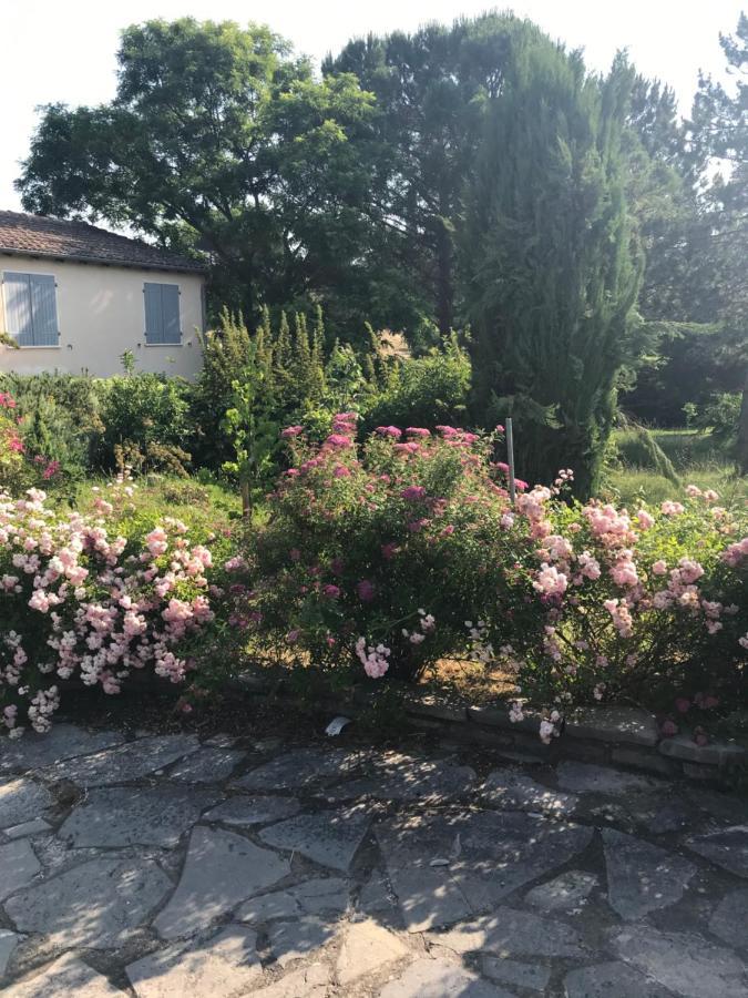 Studio Prive Cazilhac (Herault) Exterior foto